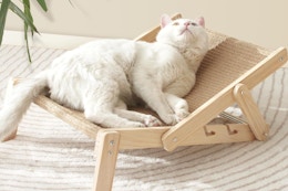 Sisal Cat Bed, Now $18 With Amazon Promo Code card image