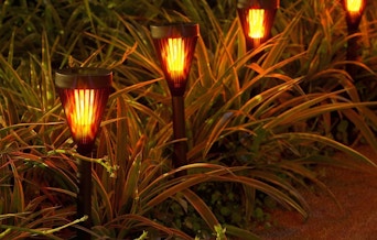 torch solar lights in a yard at night 