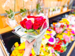 publix-bogo-roses-2