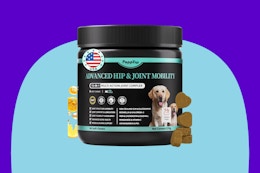 Dog Joint Supplement