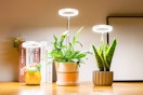 Walmart indoor plant growing light