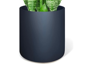 tanga-indoor-plant-pot-mar-2023