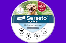 Seresto Flea and Tick Collar, as Low as $38.99 on Amazon (Reg. $60) card image