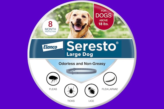 Seresto Flea and Tick Collar, as Low as $38.99 on Amazon (Reg. $60)