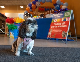 a dog at the petsmart birthday bash 
