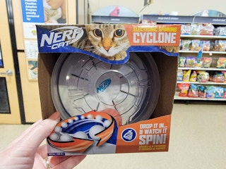 nerf cat toy