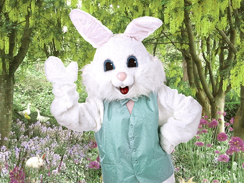 easter bunny waving at bass pro shops