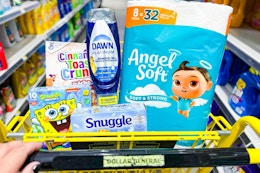 dollar general groceries in a shopping cart