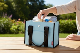 target thermos lunch tote