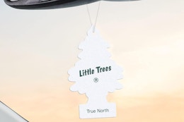 little trees air freshener