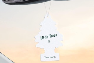 little trees air freshener