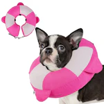 Recovery Collar for Dogs