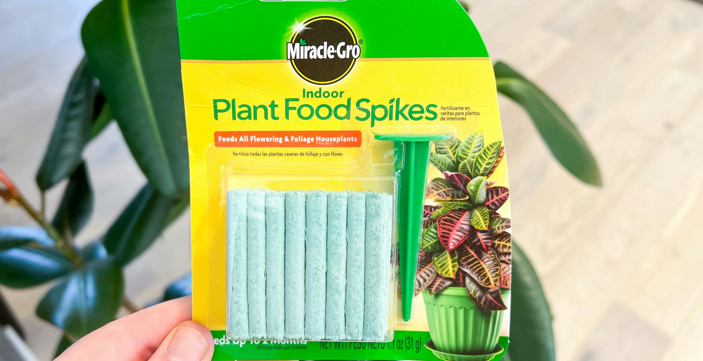 Our Favorite Amazon Home and Garden Deals Are Live Now