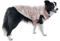Koolaburra by Ugg Pet Vest
