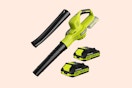 Cordless Leaf Blower Set