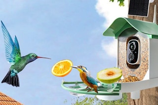 a bird feeder on a tree