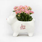 Valentine's Day Frenchie Planter