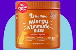 Zesty Paws Dog Allergy Relief Treats on a blue background.