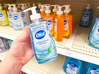 dial-hand-soap-target1