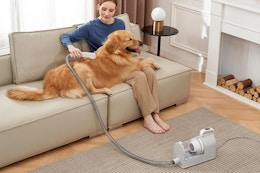 Pet Grooming Vacuum With 5 Attachments, Just $29.99 on Amazon card image