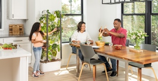 A child picking some greens from a A Gardyn indoor vertical garden set up in a kitchen next to parents sitting at a dining table.