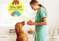 2 Weeks of Ollie Fresh Dog Food