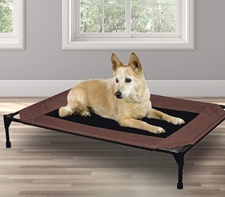 amazon elevated dog bed 1631018619 1631018619 e1631018670969