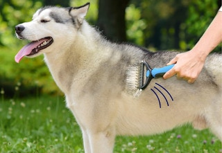 amazon pat pet brush 2023 1 1683383741 1683383741