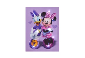 Disney LED Canvas Art