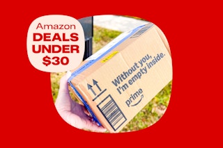 amazon deals under $30