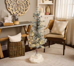 Illuminated Snowy Pine Tree