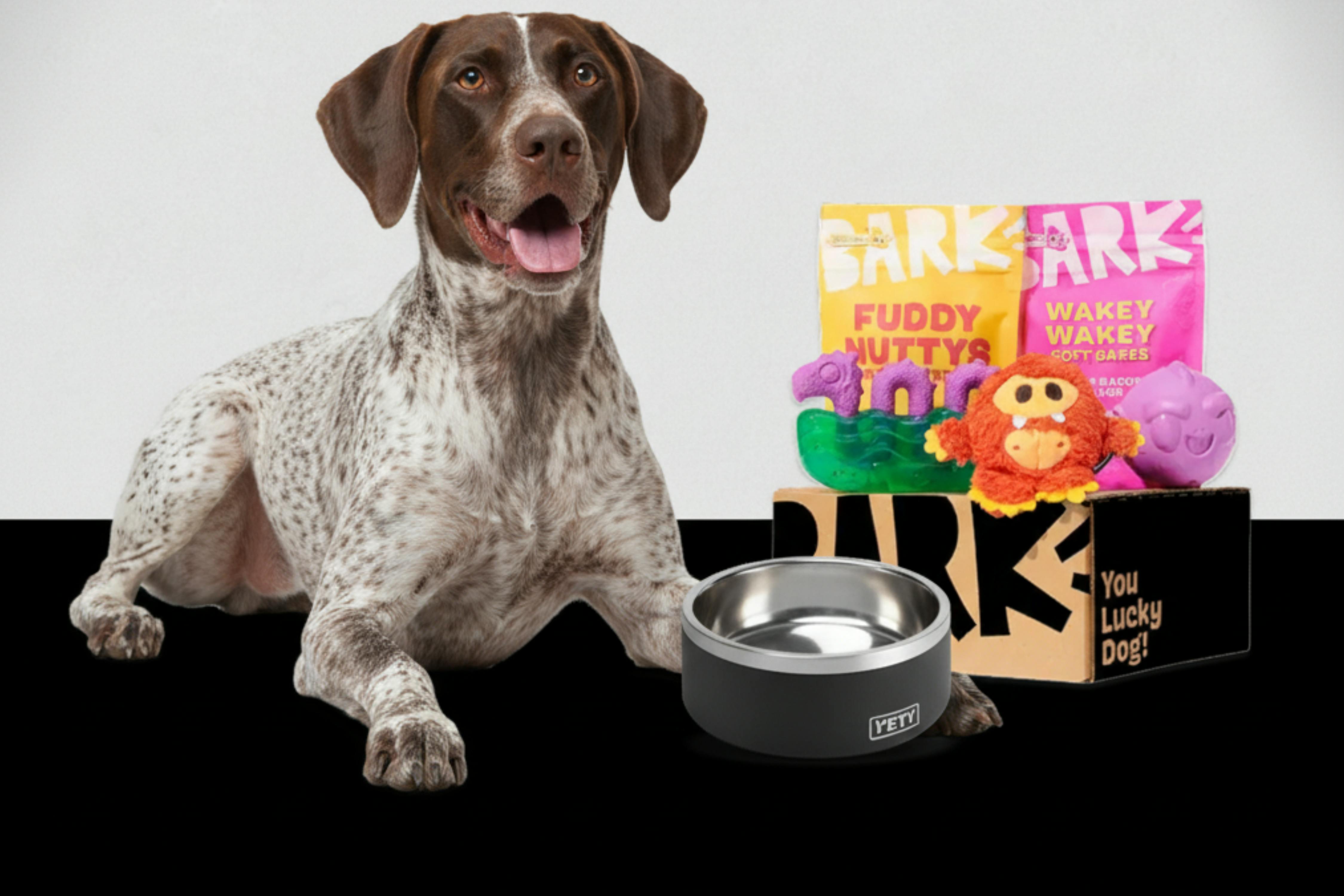 Super Chewer Box + Free Yeti Bowl