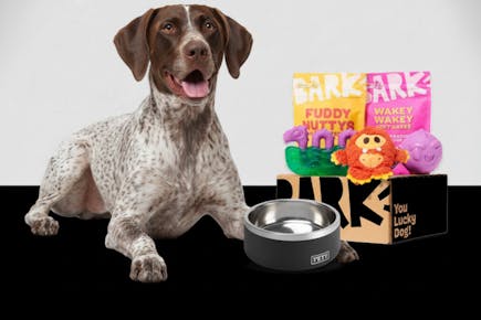 Super Chewer Box + Free Yeti Bowl