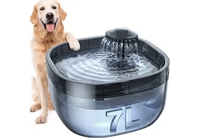 Pet Water Fountain