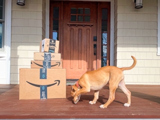 A puppy standing next to a stack of amazon prime boxes on the front porch