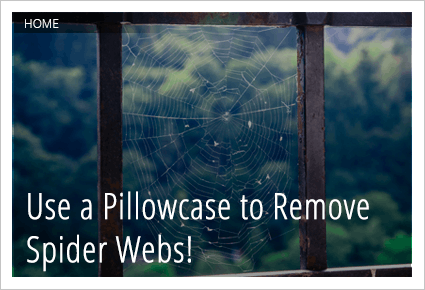 One Brilliant Way to Get Rid of Spider Webs