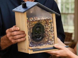 a person holding a bird feeder with a camera