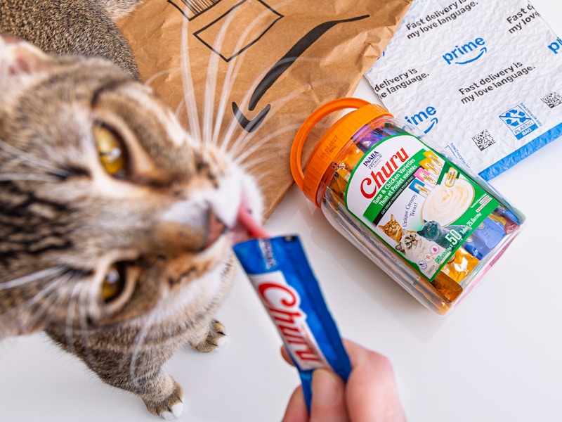 inaba churu cat treats