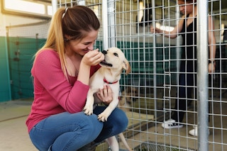 a woman paying with a dog in an adoption kennel