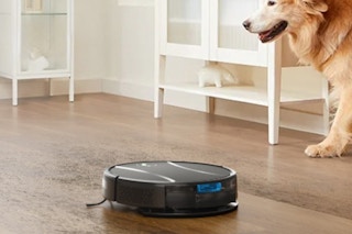 a robot vacuum cleaner near a dog