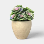 Threshold Artificial Succulent