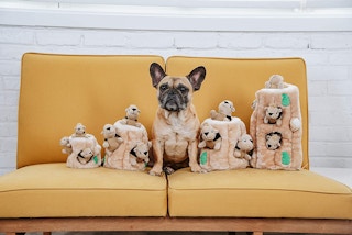 amazon outward hound squirrel 1 1651479410 1651479410