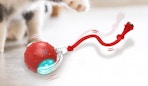 a red interactive cat toy