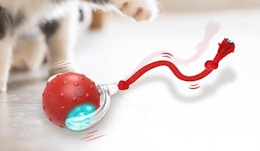 a red interactive cat toy