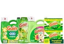 4 Gain Laundry Care Items