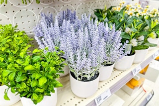 threshold faux plants sitting on a target shelf