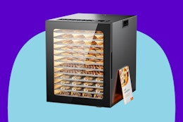 This $600 Food Dehydrator Drops to $179.99 on Amazon card image