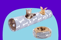 Collapsible Cat Tunnel, Just $9 on Amazon card image