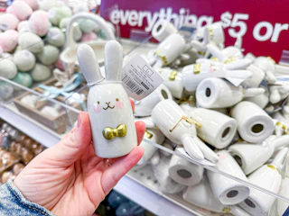 target-dollar-spot-february-16