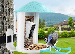 walmart bird feeder camera 2022 01 1670505415 1670505415